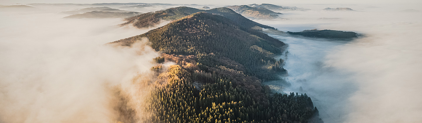 Berg im Sauerland liegt im Nebel