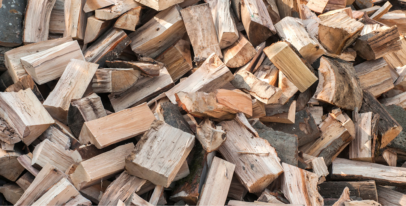HOLZHA~1