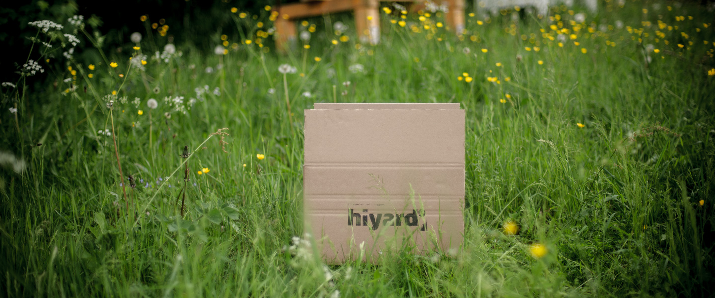 hiyard Kartonage auf Wildbllumenwiese