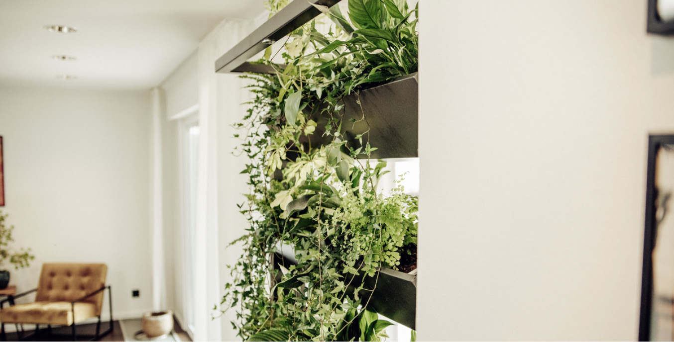 03.06.2025 Blog hiyard Bloomer