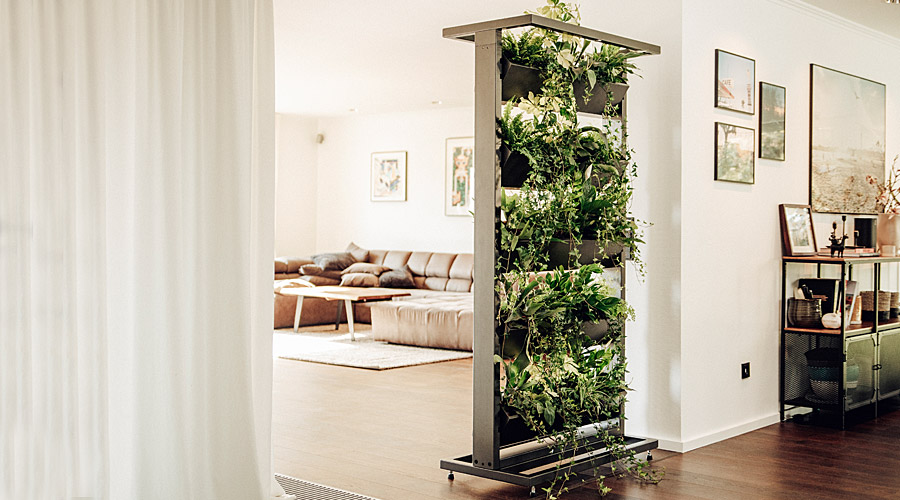 Bloomer als Sichtschutz hiyards Bloomer als Sichtschutz im Wohnzimmer
